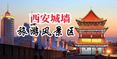 欧美色图22p图片中国陕西-西安城墙旅游风景区